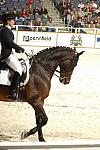 17-WIHS-CathyMorelli-10-28-05-Dressage-DDPhoto.JPG