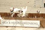 7-WIHS-10-28-05-Terriers-DDPhoto.JPG
