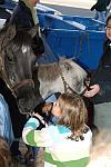 013-WIHS-PonyPavilion-10-29-05-DDPhoto.JPG