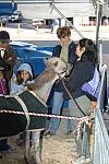 018-WIHS-PonyPavilion-10-29-05-DDPhoto.JPG