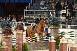 069-WIHS-ShelbyWakeman-Rodin-10-29-05-EqClassicJpr-182-DDPhoto.JPG