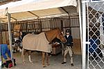 080-WIHS-10-30-05-DDPhoto.JPG