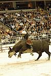 005-WIHS-10-23-06-BullRiding-DDPhoto.JPG