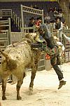 017-WIHS-10-23-06-BullRiding-DDPhoto.JPG