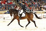 16-WIHS-CathyMorelli-BeSe-Dressage-DDPhoto.JPG