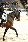 26-WIHS-CathyMorelli-10-28-05-Dressage-DDPhoto.JPG