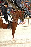 31-WIHS-HeatherBlitz-Arabella-Dressage-DDPhoto.JPG