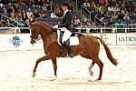 32-WIHS-HeatherBlitz-Arabella-Dressage-DDPhoto.JPG