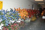 004-WIHS-10-30-05-DDPhoto.JPG