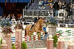 069-WIHS-ShelbyWakeman-Rodin-10-29-05-EqClassicJpr-182-DDPhoto.JPG