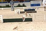 732-WIHS-10-27-06-&copy;DeRosaPhoto.JPG