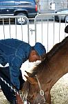 1164-WIHS-10-28-06-&copy;DeRosaPhoto.JPG