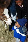 1170-WIHS-10-28-06-&copy;DeRosaPhoto.JPG
