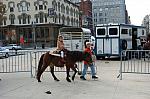 1198-WIHS-10-28-06-&copy;DeRosaPhoto.JPG