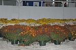 106-WIHS-10-23-06-&copy;DeRosaPhoto.JPG