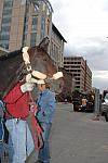 144-WIHS-10-23-06-&copy;DeRosaPhoto.JPG