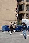 175-WIHS-10-23-06-&copy;DeRosaPhoto.JPG