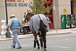 191-WIHS-10-23-06-&copy;DeRosaPhoto.JPG