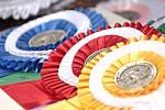 261-WIHS-10-24-06-&copy;DeRosaPhoto.JPG