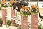 177-Capetown-PeterPletcher-WIHS-10-24-06-&copy;DeRosaPhoto.JPG