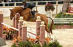 377-Dynamic-ScottStewart-WIHS-10-24-06-&copy;DeRosaPhoto.JPG