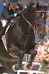 075-LaurenLieberman-Noir-WIHS-10-28-06-&copy;DeRosaPhoto_2.jpg
