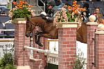 018-SarahSturges-Woodland'sMistyRain-WIHS-10-28-06-&copy;DeRosaPhoto.JPG