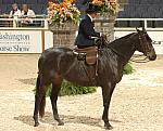 718-SandraConchar-AmericanIdol-WIHS-10-26-06-&copy;DeRosaPhoto.JPG