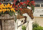 612-Gizmo-HannahGorman-WIHS-10-24-06-&copy;DeRosaPhoto.JPG