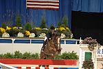WIHS Children's Jumpers