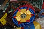 WIHS08-12-25-Awards-009-DDeRosaPhoto
