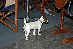 WIHS08-10-25-Boutiques-041-DDeRosaPhoto
