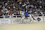 10-24-08-WIHS-495-DeRosaPhoto.jpg