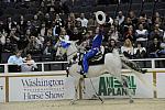 10-24-08-WIHS-505-DeRosaPhoto.jpg