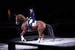 10-24-08-WIHS-810-DeRosaPhoto.jpg