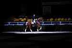 10-24-08-WIHS-840-DeRosaPhoto.jpg