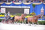 10-24-08-WIHS-724-DeRosaPhoto.jpg