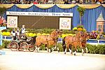 10-24-08-WIHS-729-DeRosaPhoto.jpg