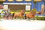 10-24-08-WIHS-730-DeRosaPhoto.jpg