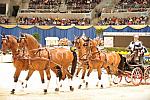 10-24-08-WIHS-731-DeRosaPhoto.jpg