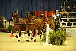10-24-08-WIHS-732-DeRosaPhoto.jpg