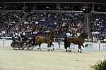 10-24-08-WIHS-740-DeRosaPhoto.jpg