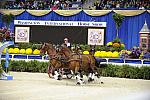 10-24-08-WIHS-743-DeRosaPhoto.jpg