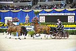 10-24-08-WIHS-745-DeRosaPhoto.jpg