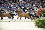 10-24-08-WIHS-751-DeRosaPhoto.jpg