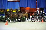 10-24-08-WIHS-753-DeRosaPhoto.jpg