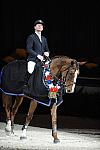 McLainWard-Sapphire-DSC_0018.jpg