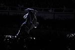 10-24-08-WIHS-1004-DeRosaPhoto.jpg