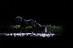 10-24-08-WIHS-914-DeRosaPhoto.jpg