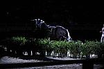 10-24-08-WIHS-917-DeRosaPhoto.jpg